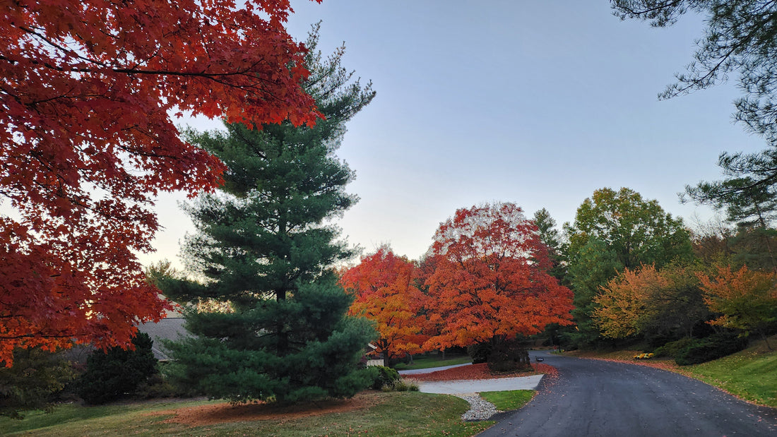 Celebrate the Fall Equinox: Your Guide to Seasonal Skincare
