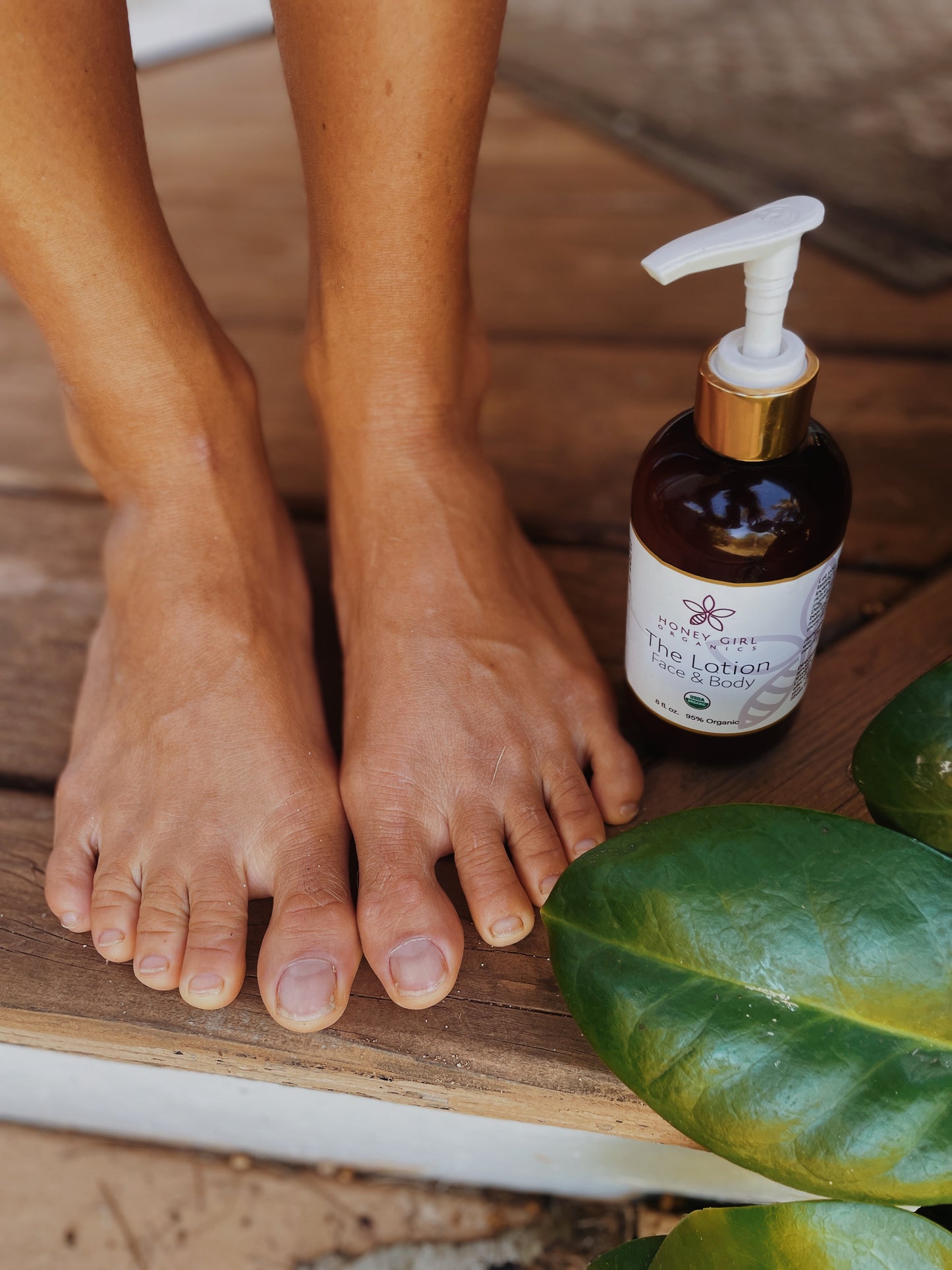 The Lotion - Organic