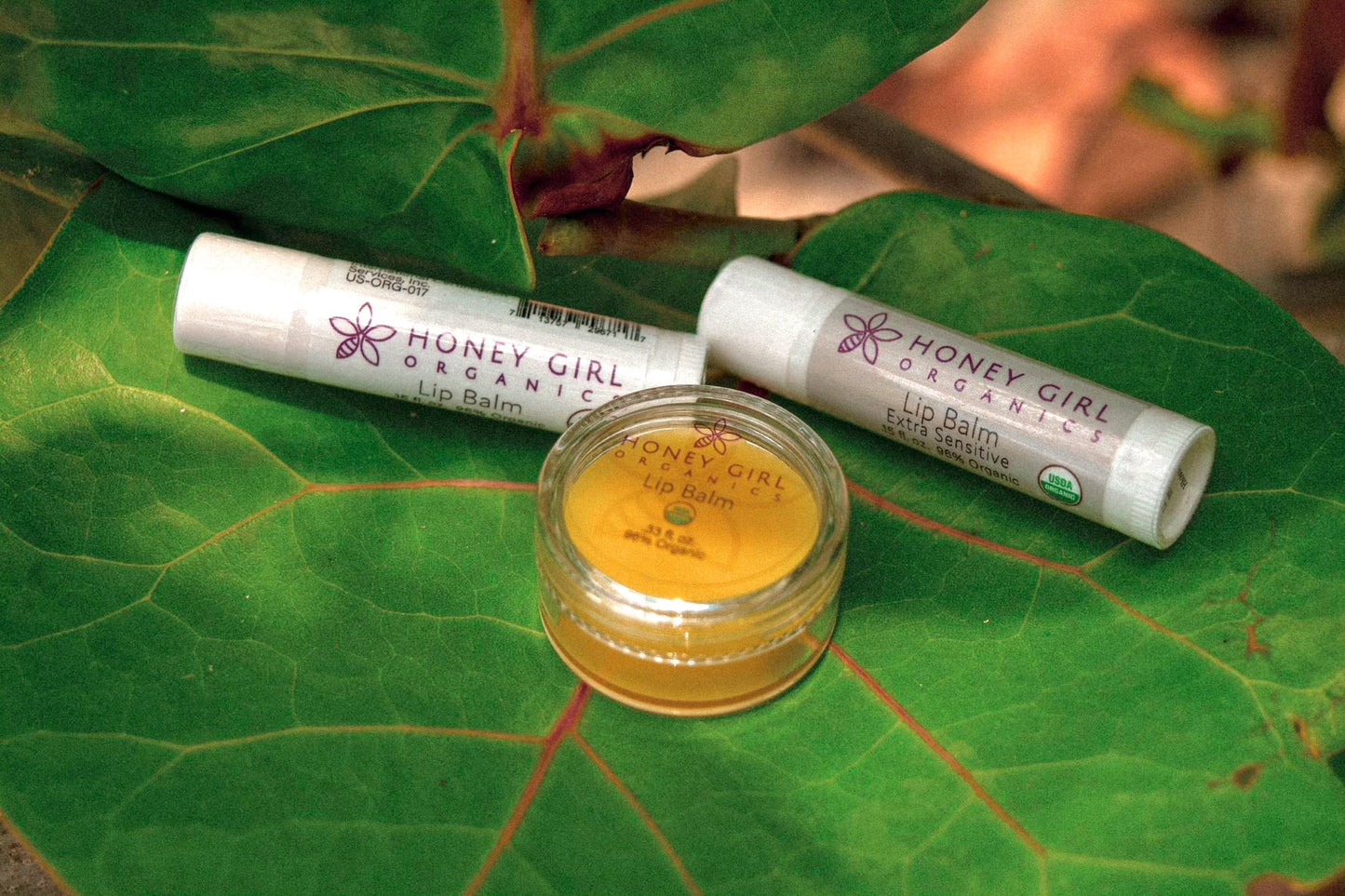 Lip Balm Pot - Organic