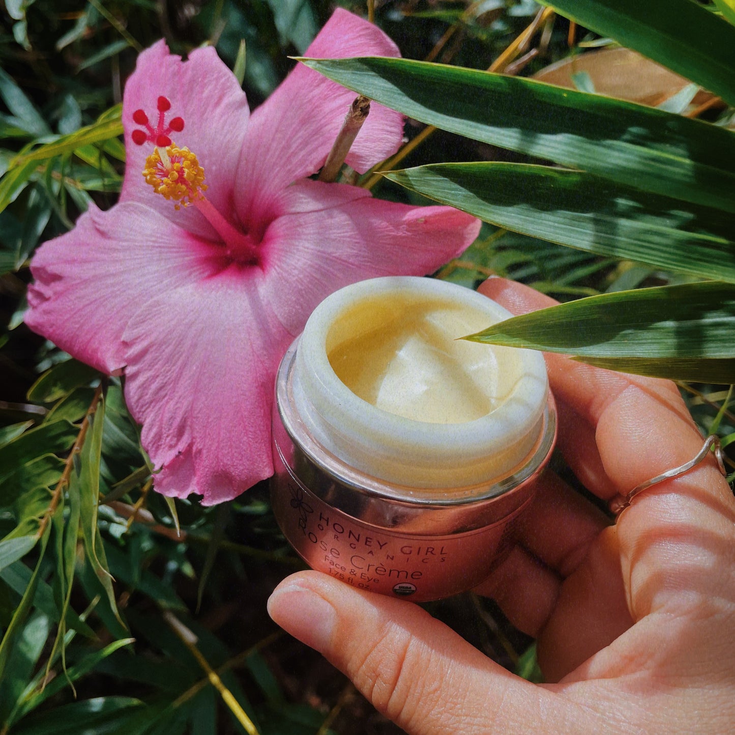 Rose Crème - Organic