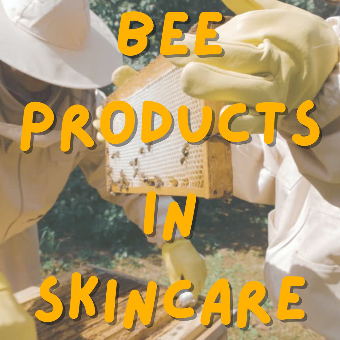 Bee Products in Dermatology and Skin Care