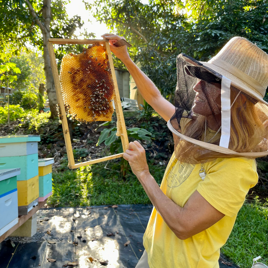 We're Celebrating Earth Day with Hānai Hives!