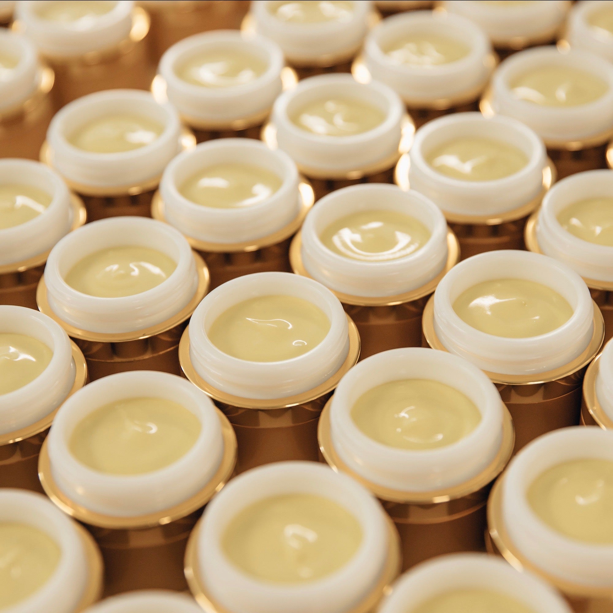 Face & Eye Crème - Organic