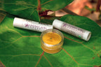 Lip Balm Pot - Organic